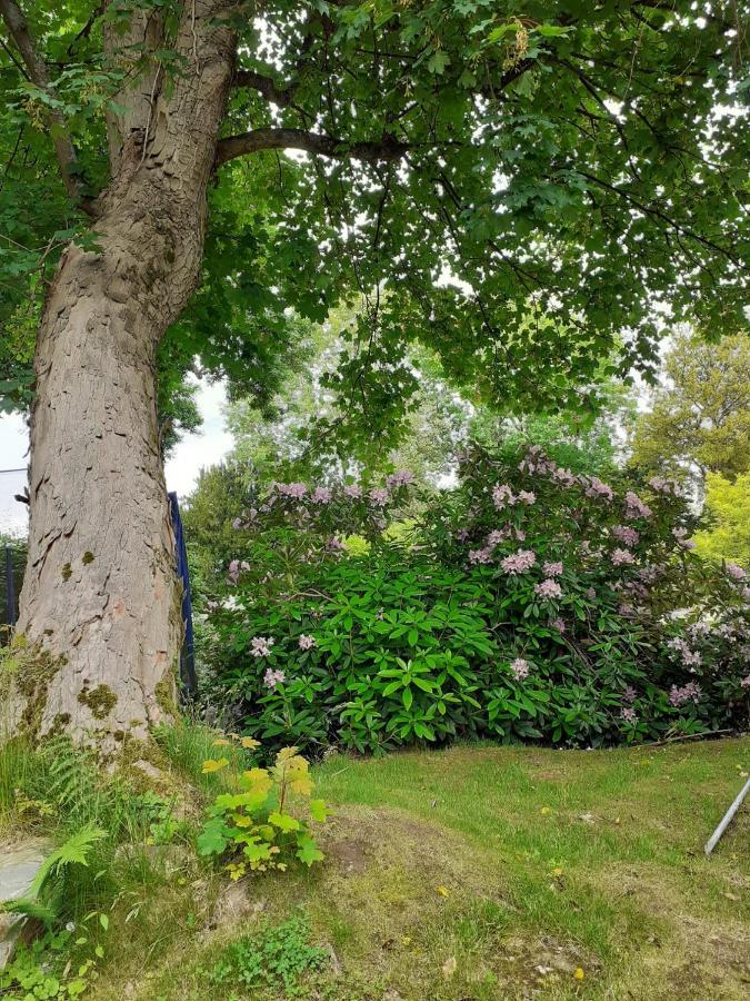 Bed and Breakfast Manoir De L'As De Trefle Isneauville Exterior foto