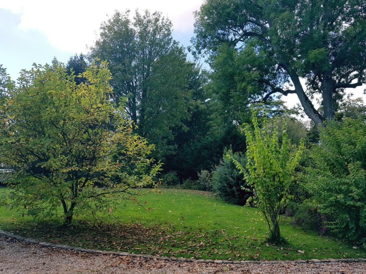 Bed and Breakfast Manoir De L'As De Trefle Isneauville Exterior foto